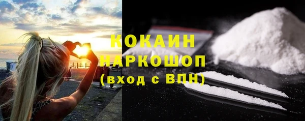 мдпв Каменногорск