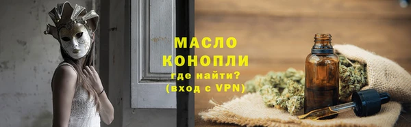 мдпв Каменногорск