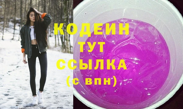 мдпв Каменногорск