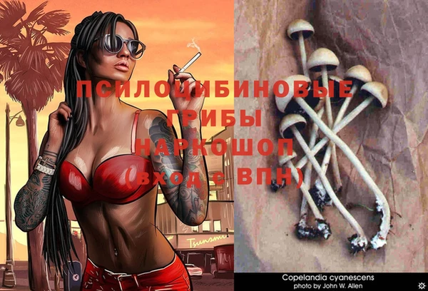 мдпв Каменногорск