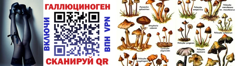Галлюциногенные грибы Psilocybe  Купить закладки  Гай 